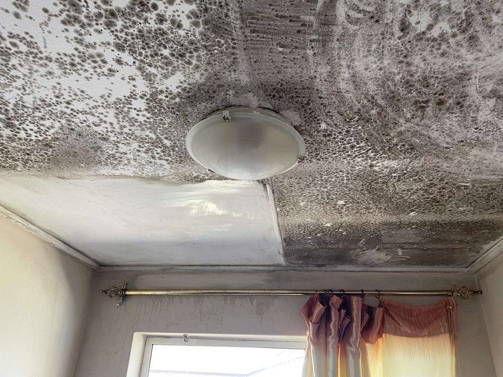 Mould and remediation