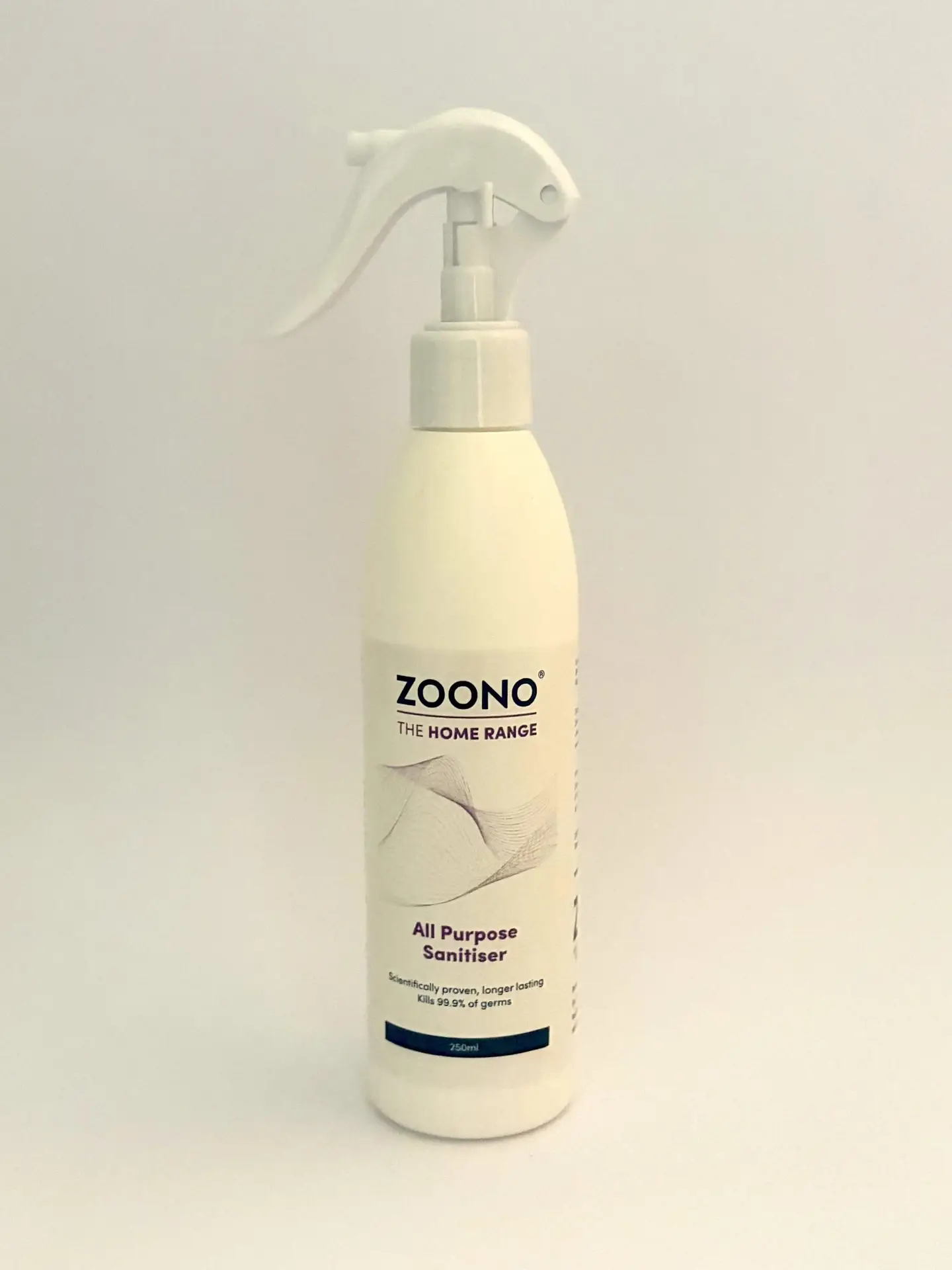250mL All Purpose Sanitiser