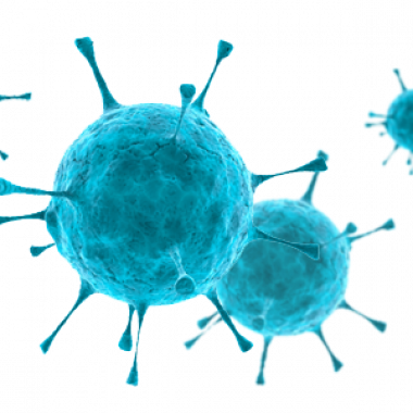 ZOONO ingredients image