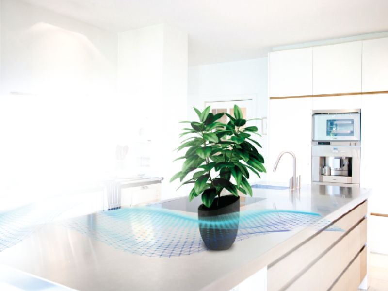 zoono south africa surface decontamination